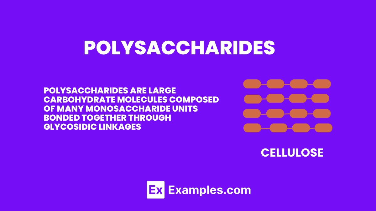 <p>A polymer made by joining many monosaccharide molecules by condensation, such as starch, glycogen, and cellulose.</p>
