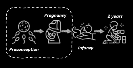 <p>a period of heightened (developmental) plasticity and sensitivity to env stimuli</p>