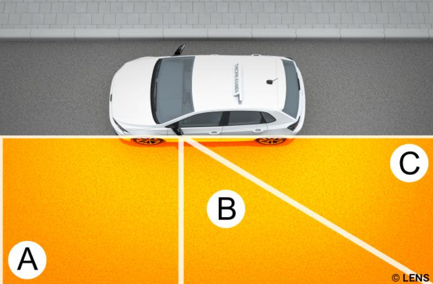 <p>Which part is called the blindspot?</p>