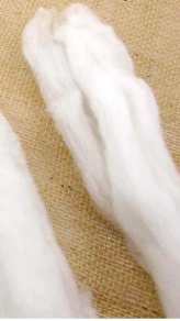 <p>processed from combing prepped wool</p>