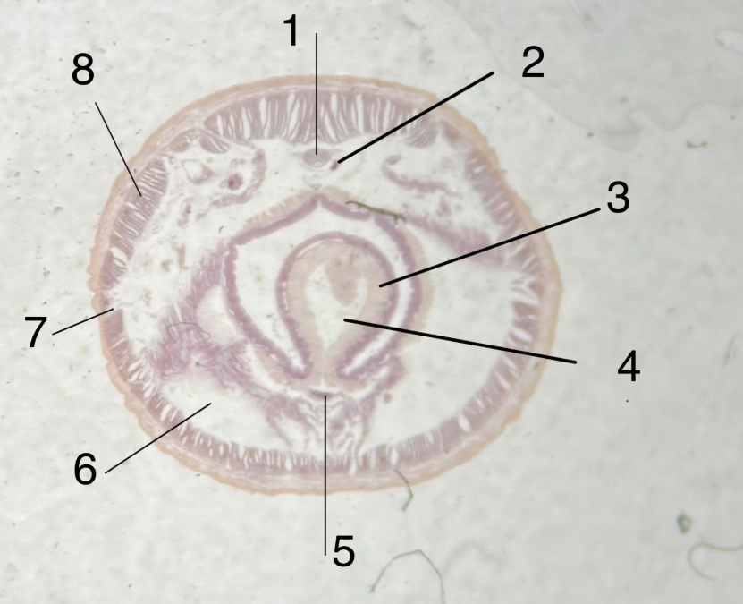 <p>What is 1?</p>
