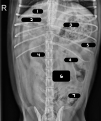 <p>1</p>
