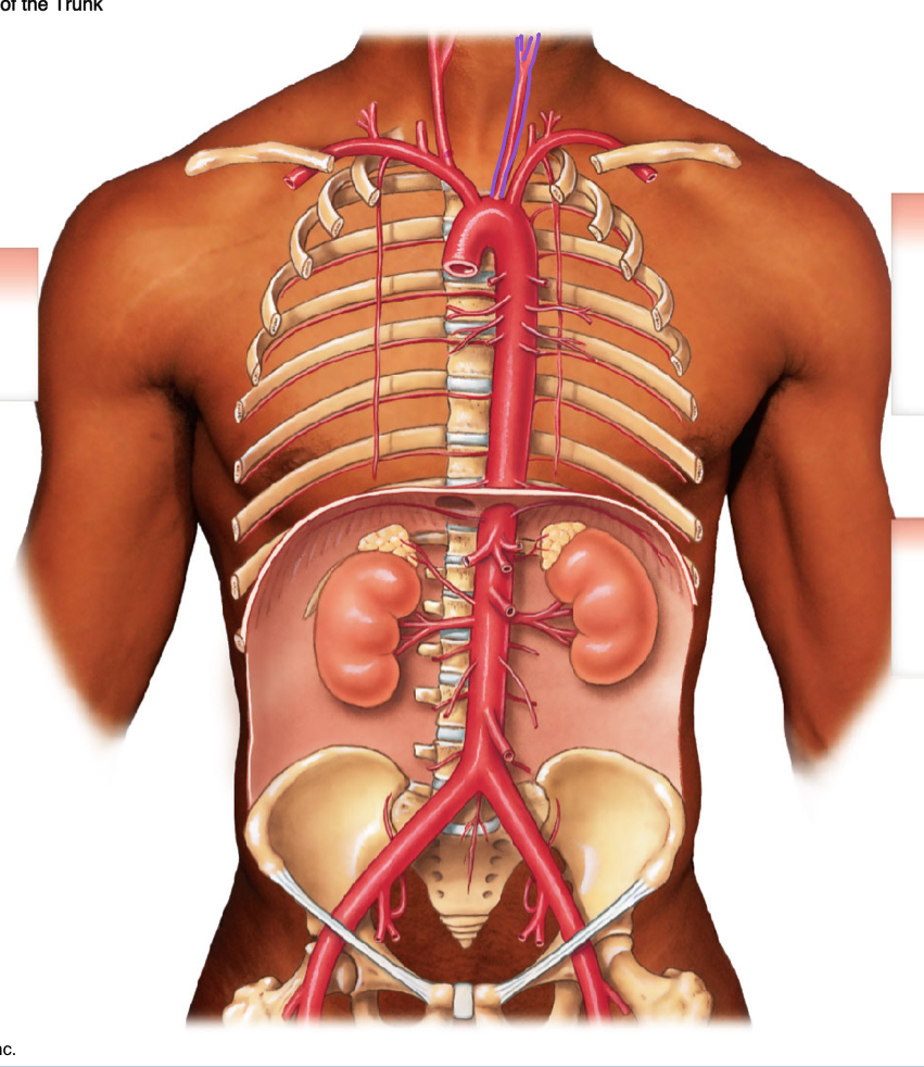 <p>diagrams </p>