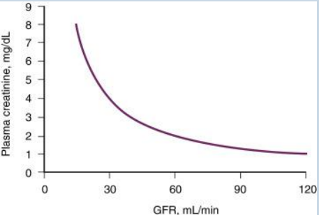 <p>• Can also measure substances normally excreted by the kidneys in <strong>plasma </strong>(or serum).</p><p>•<span style="color: purple;"> Urea (blood urea nitrogen, BUN).</span></p><p><span style="color: purple;">• Creatinine.</span></p><p><span style="color: purple;">• SDMA (symmetric dimethylarginine).</span></p><p></p><p>Relationship between GFR and plasma (or serum) concentration</p><p>basically when kidney filtration speed goes down, the waste sitting in your blood goes up</p><p>so high levels of urea/creatinine is bad because GFR is not high enough to filter it out</p>