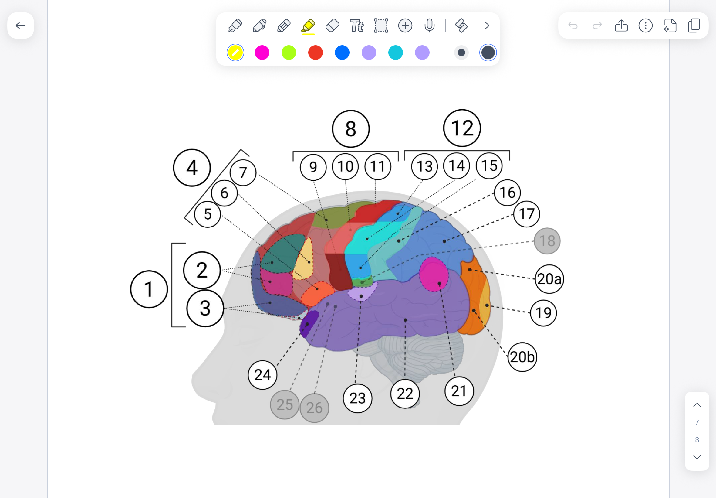 <p>What is Number 12?</p>