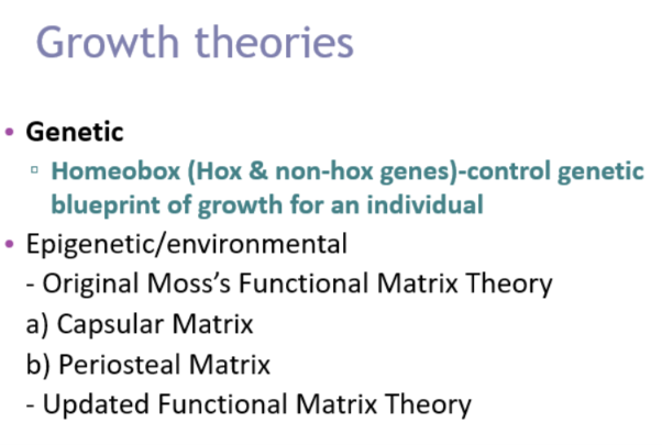 <ul><li><p><strong>Genetic </strong>- Homeobox - hox and non-hox genes - control genetic blueprint of growth for an individual (growth predetermined</p></li><li><p><strong>Epigenetic/environment </strong></p></li><li><p>Original Moss functional matrix theory - capsular and periosteal matrix</p></li><li><p>Updated to functional matrix theory </p></li></ul><p></p>