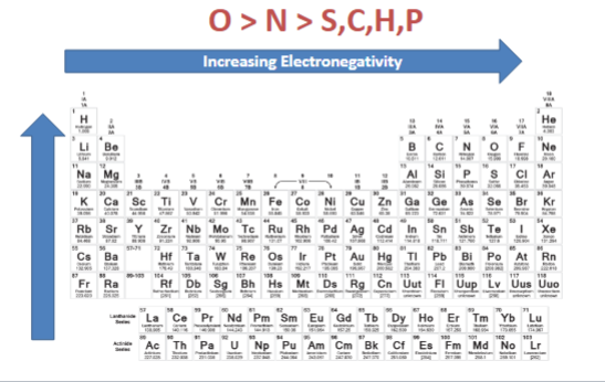 <p>• The tendency of an atom to attract electrons when it occurs as part of a</p><p>compound</p>