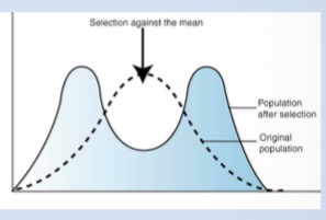 <p>Both extremes are selected for </p>