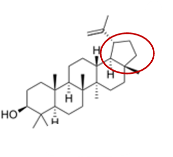 <ul><li><p>especie</p></li><li><p>parte da planta</p></li><li><p>nome</p></li><li><p>propriedades farmacologicas:</p></li><li><p>caracteristicas</p></li></ul><p></p>