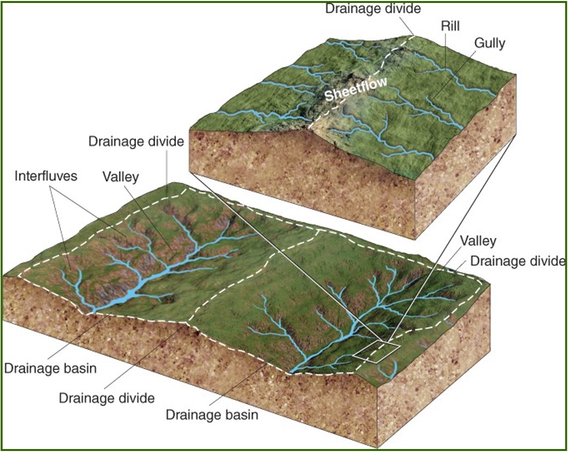 <p>Rills are small grooves that develop near a divide where surface water concentrates and begins moving downslope. </p><p>Gullys are deeper grooves farther downslope that direct surface water into a stream. </p>