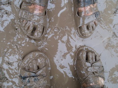 <p>Wet dirt mixed with water.</p>