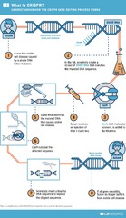 <p>To precisely edit genes in any organism by cutting DNA at specific locations.</p>