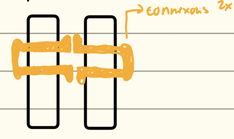 <p>Major component: <span>Connexins </span></p><p><span>Communication between animal cells</span></p>