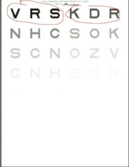 <p>True or False: The letters in a Pelli-Robson Chart are different in size.</p>