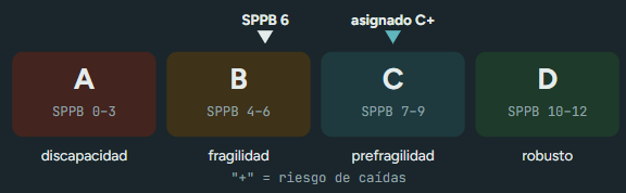 <ul><li><p>A: discapacidad (SPPB 0-3)</p></li><li><p>B: fragilidad (4-6)</p></li><li><p>C: prefragilidad (7-9)</p></li><li><p>D: robusto (10-12)E</p></li></ul><p>El “+” indica riesgo de caídas.</p><p></p>