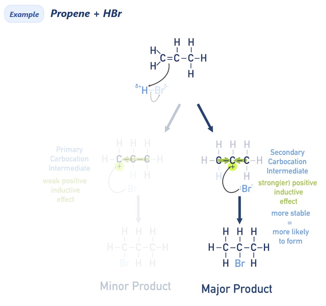 <ul><li><p>HX get polarised</p></li><li><p>Hydrogen (+) bonded with less stable carbon (C=C bond)</p></li><li><p>X (or any other species) bonded with more stable carbocation</p></li></ul><p></p>
