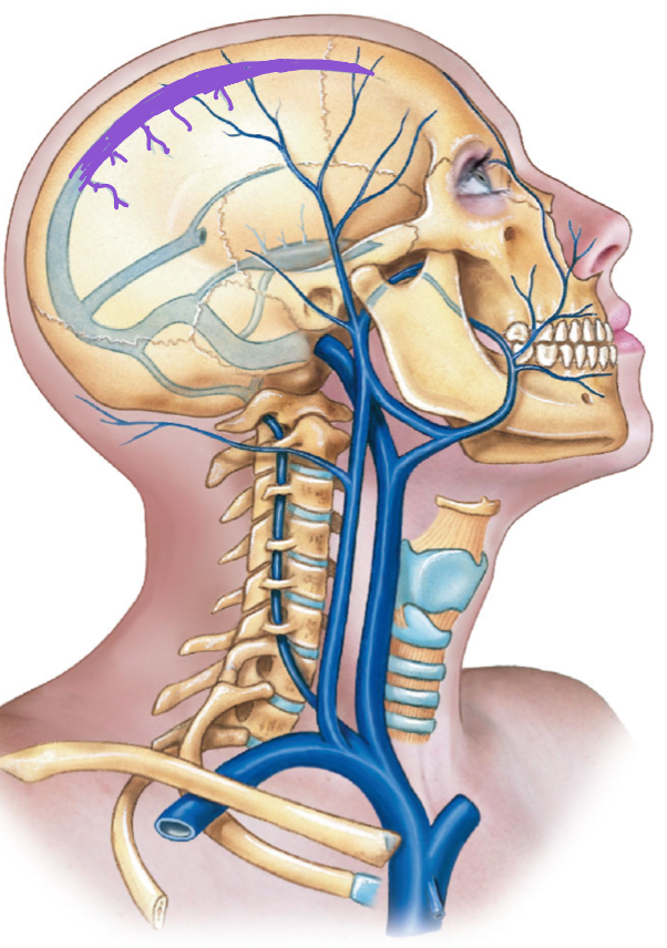 <p>diagram </p>