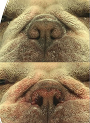 <p>What is this?</p>