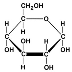 <p>hexoses</p>