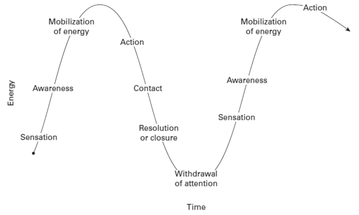 <p><strong>The Gestalt cycle</strong></p>