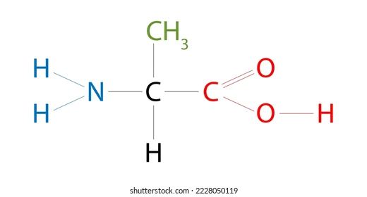 <p>What amino acid is this?</p>