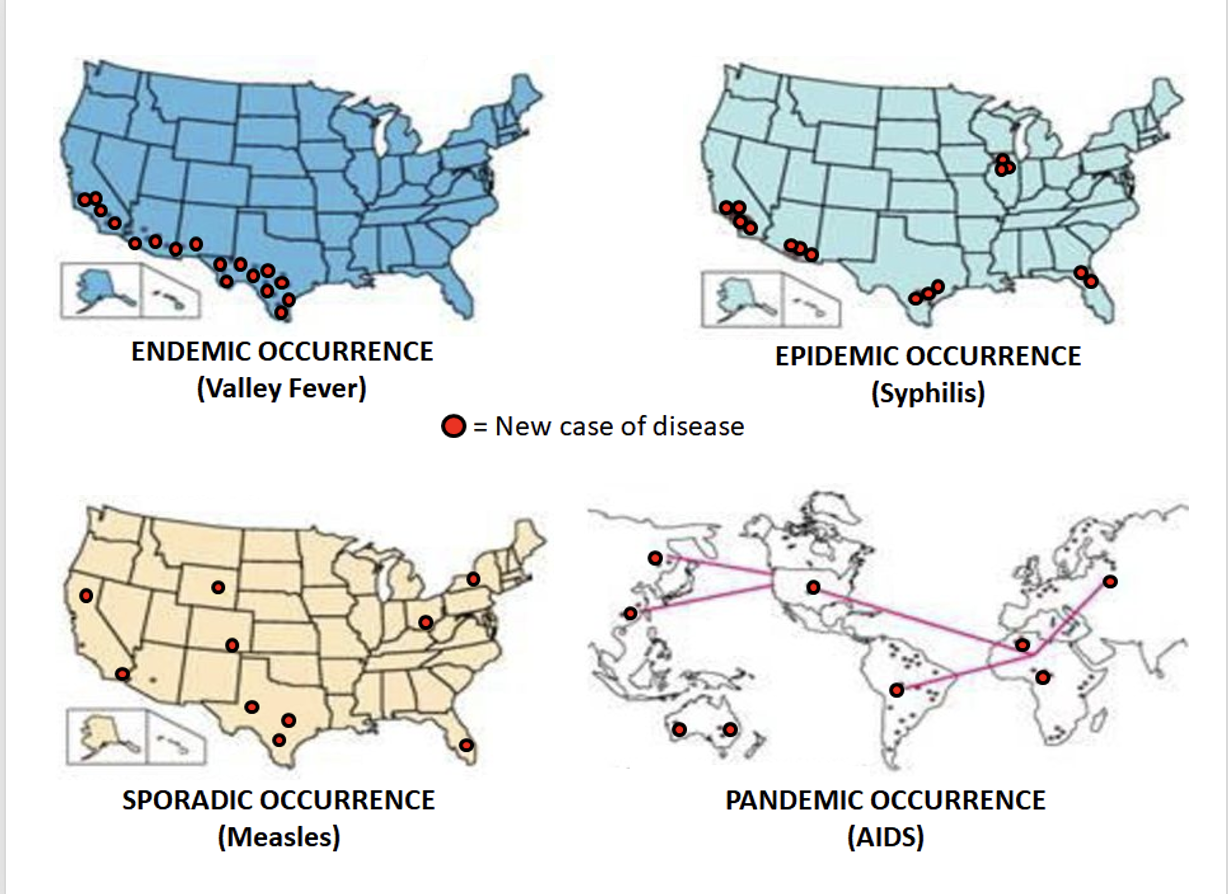 <p>4 Types of Transmission</p><ul><li><p>MEMORIZE PIC</p></li></ul><p></p>