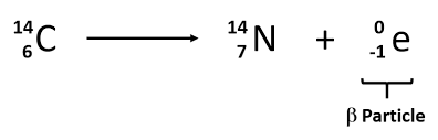 <p>mass number stays the same, atomic number increases by one</p>