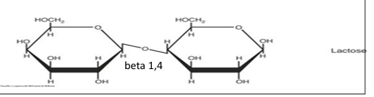 <ul><li><p><span>Glucose + galactose</span></p></li><li><p><span><u>Beta 1,4 glycosidic bond</u></span></p></li><li><p><span><u>Is a reducing suga</u>r (has free hydroxyl group on the end)</span></p></li><li><p><span>Not as sweet as sucrose</span></p></li><li><p><span>Broken down in SI by <u>lactase</u></span></p></li></ul><p></p>