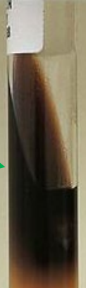 <p>test and result</p>