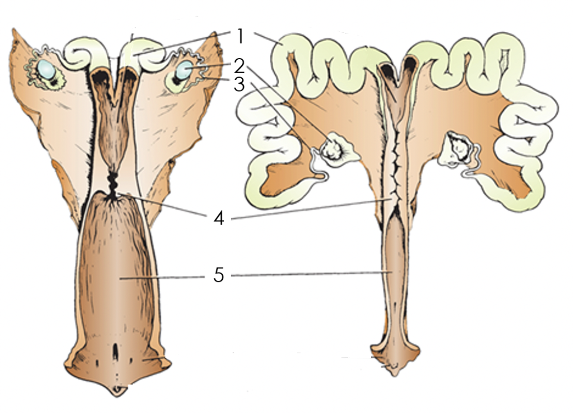 <p>1</p>