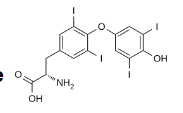 <p>What is this hormone?</p>