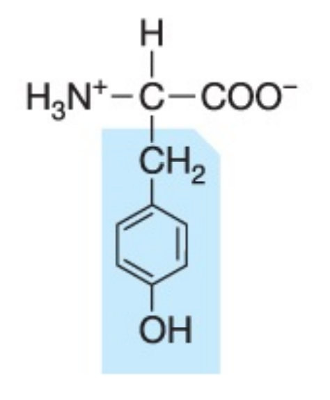 <p>What amino acid is this?</p>