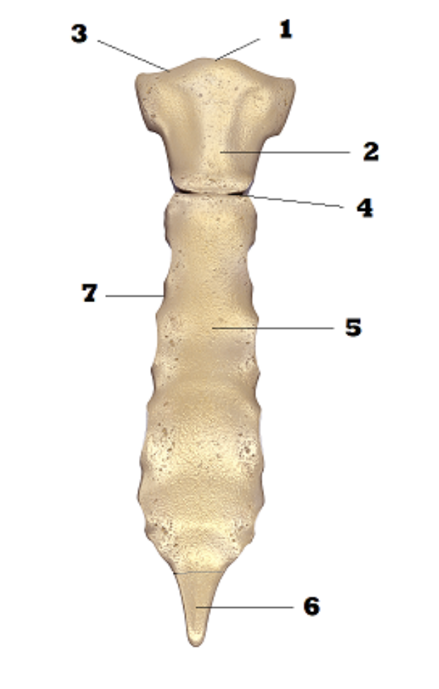 <p>4</p>
