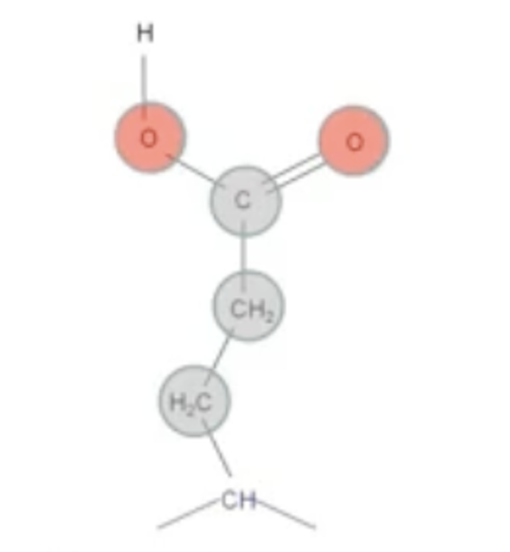 <p>E<br>Polar, Negative, Acidic (-COO)</p>