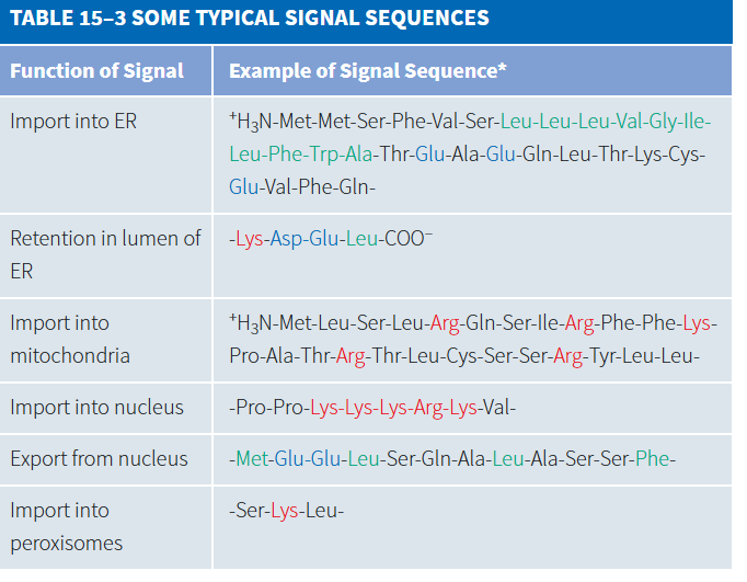 <p>Amino acid sequence that directs a protein to a specific location in the cell, such as the nucleus or mitochondria.</p><ul><li><p>signal sequences are often removed from finished protein once it arrives at destination</p><ul><li><p>exception is nuclear proteins that need it to re-enter the nucleus after nuclear envelope breakdown during cell division.</p></li></ul></li></ul><p></p>
