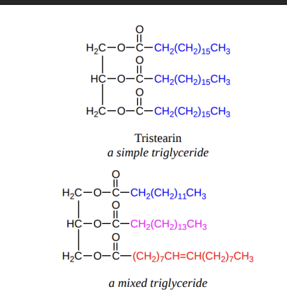 <p>Simple are rare, all the hanging chains are from the same atom</p><p>Mixed triglycerides are more common, the three chains are different from one another</p>
