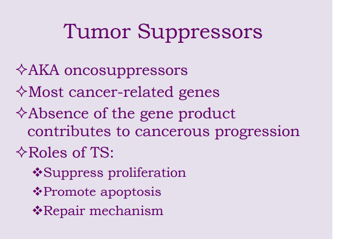 <p>Most cancer-related genes are tumor suppressors</p><p></p><p></p>