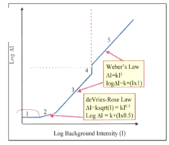 <p>When looking at one on the following graph, what is this region called?</p>