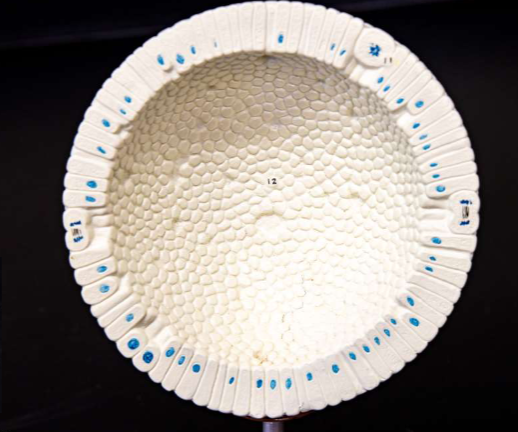 <p>What is this?</p>