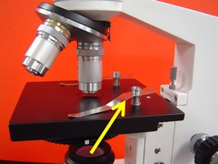 <p>Holds the slides in place on the stage for viewing.</p>