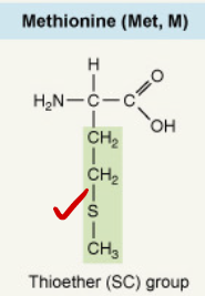<p>Thioether (SC) group</p>