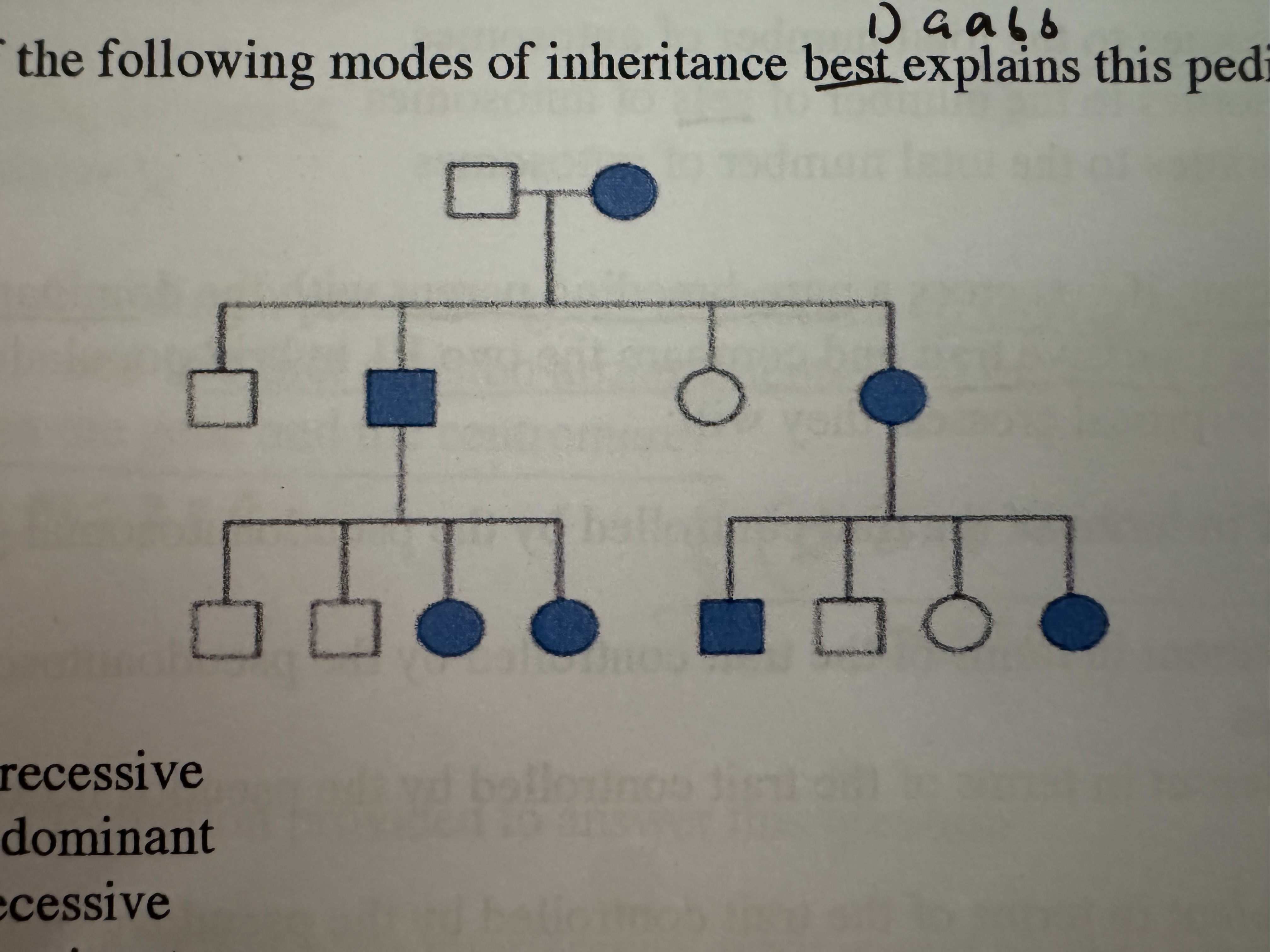 <p>which of the following modes of inheritance best explains this pedigree?</p>