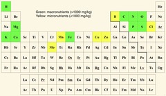 <p>Macronutrients like Nitrogen and micronutrients like Copper.</p>