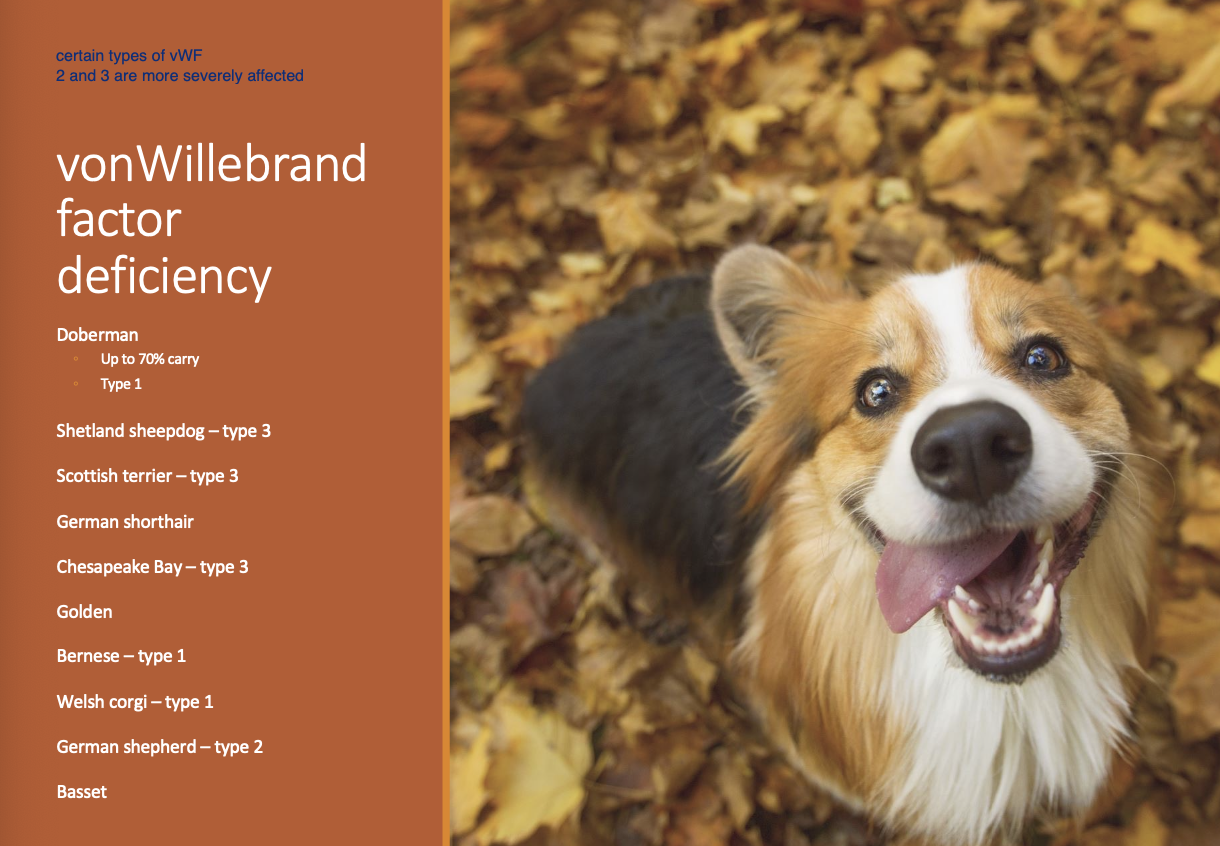 <p>Doberman - up to 70% carry, type 1</p><p>Shetland sheepdog</p><p>Scottish terrier</p><p>German shorthair</p><p>Chesapeake bay</p><p>Golden</p><p>Bernese</p><p>Welsh corgi</p><p>GSD</p><p>Basset </p>