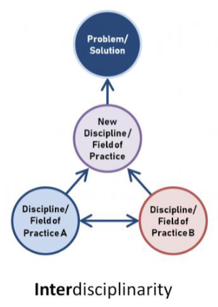 <p>Interdisciplinary Teams</p>
