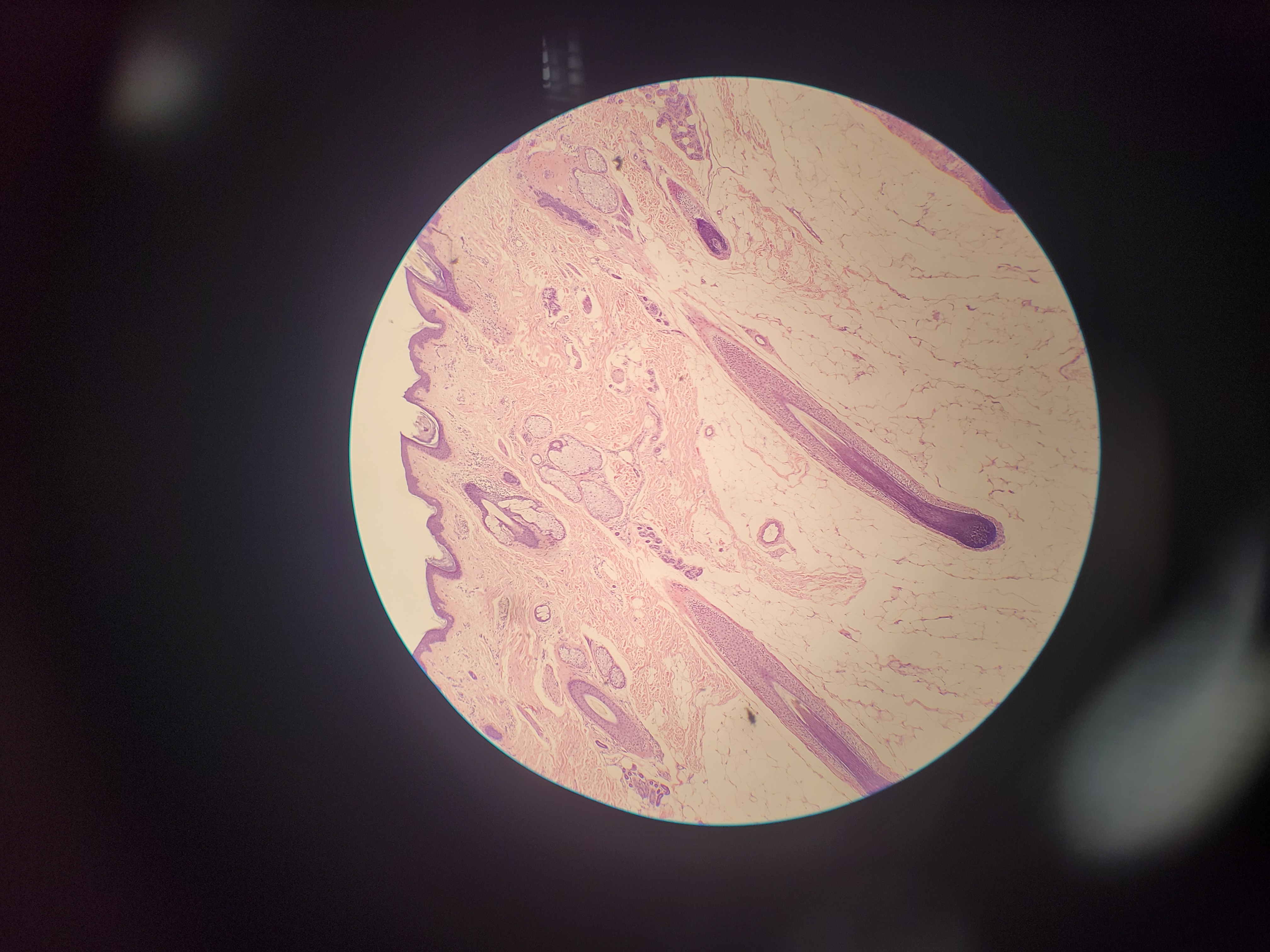 <p>What is this and what features are shown?</p>