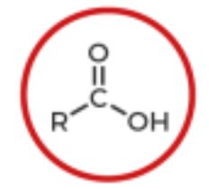 <p>What is this?</p>