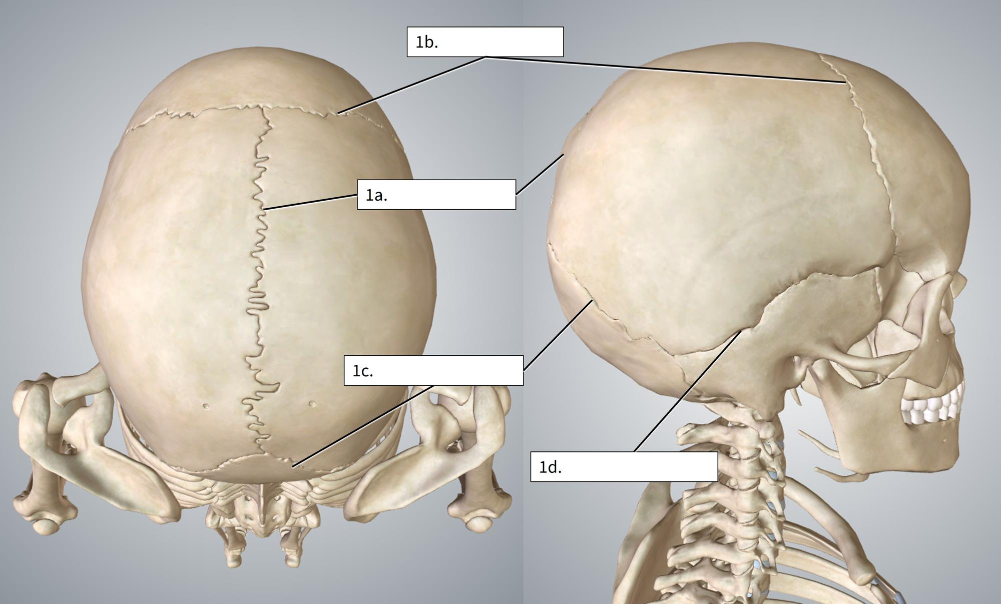<p>1c.</p>
