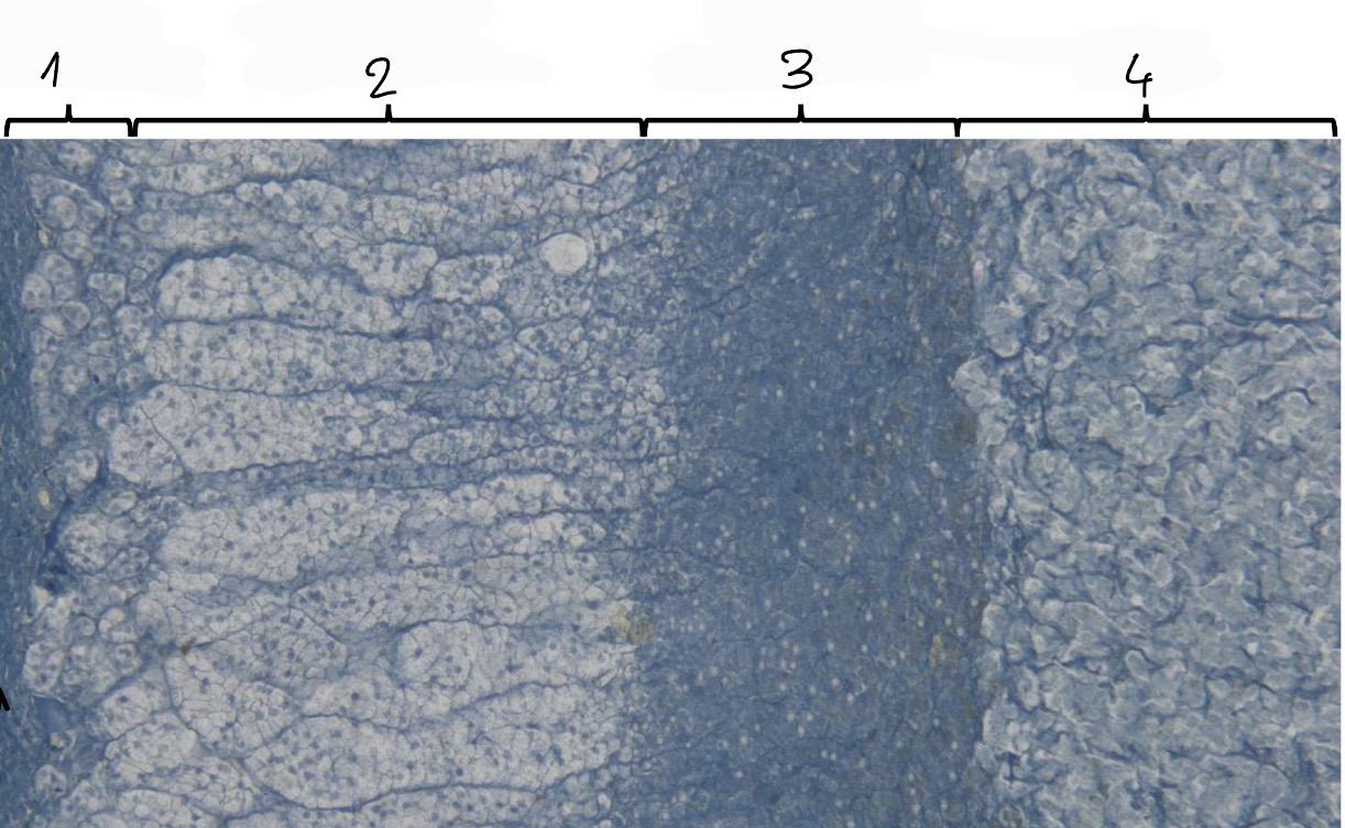 <p>1</p>
