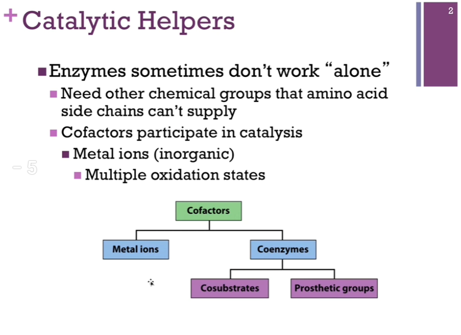 <p>Enzymes don’t work alone. They may need cofactors (Chat: components that some enzymes need in order to function properly) to carry out the <strong>catalytic </strong>mechanisms. Sometimes, these cofactors carry chemical groups that simply aren’t present on amino acid side chains. COFACTORS actually participate in the catalytic mechanisms!<strong> Sometimes, they are inorganic (like metal ions! [capable of multiple oxidation states] [helpful in oxidation reduction reactions]). </strong></p>